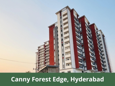 Canny-Forest-Edge