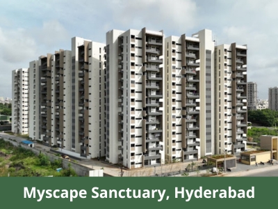 Myscape Sanctuary