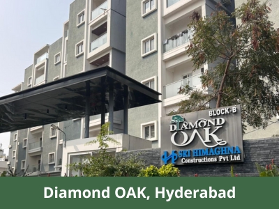 Diamond Oak